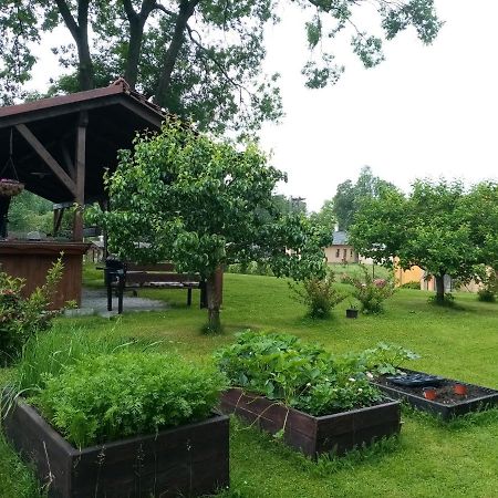 Mija Apartman S Vinnym Sklipkem, Zahradou A Grilem Kájov Eksteriør billede